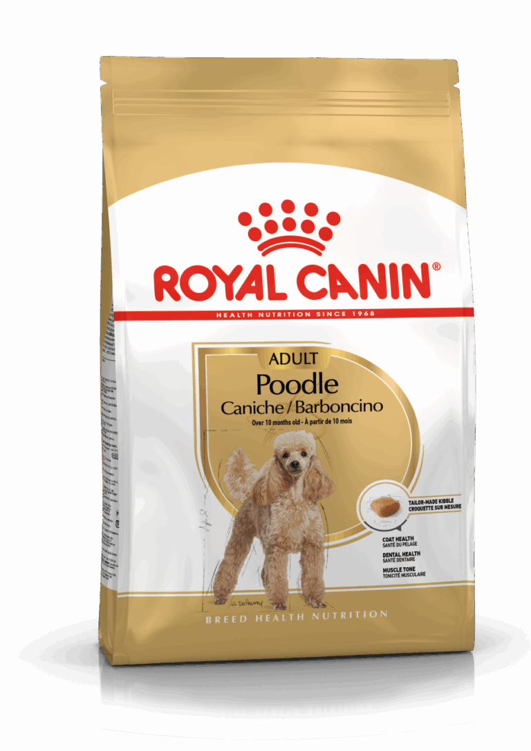 BHN POODLE 1.5K Concentrado para perros Royal Canin Productos veterinarios Royal Canin | Envios a toda Guatemala