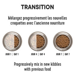 1ST CHOICE   DOG FOOD   SENIOR   AND COAT ALL BREEDS BOLSA 11 KG Productos veterinarios 1ST Choice | Envios a toda Guatemala