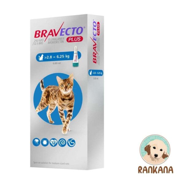 Bravecto Plus Cat 250 mg 2.8 a 6.25 Kg | Antipulgas y Garrapaticida para Gatos en Guatemala Productos veterinarios Bravecto Plus | Envios a toda Guatemala