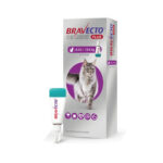 Bravecto Plus Cat 500 mg 6.25 a 12.5 Kg | Protección contra Pulgas y Parásitos para Gatos en Guatemala Productos veterinarios Bravecto Plus | Envios a toda Guatemala