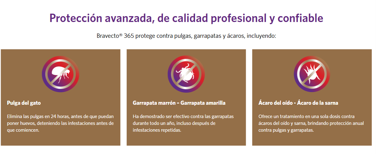 Bravecto 365 Frasco 15 mL | Solución Oral Antiparasitaria de Larga Duración en Guatemala Productos veterinarios Bravecto 365 | Envios a toda Guatemala