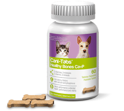 CANI-TABS HEALTHY BONE - FRASCO 60 Tabletas Medicamentos veterinarios Productos veterinarios Agrovet Market | Envios a toda Guatemala