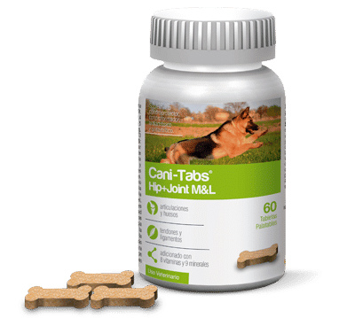 CANI-TABS HIP + JOINT MEDIUM y LARGE - FRASCO 100 Tabletas Medicamentos veterinarios Productos veterinarios Agrovet Market | Envios a toda Guatemala