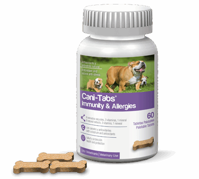 CANI-TABS IMMUNITY y ALLERGIES - FRASCO 60 Tabletas Medicamentos veterinarios Productos veterinarios Agrovet Market | Envios a toda Guatemala