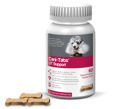 CANI-TABS UT SUPPORT - FRASCO 60 Tabletas Productos veterinarios Agrovet Market | Envios a toda Guatemala