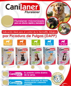 Canilaner 112.5mg Fluralaner Micronizado Tableta Masticable Perros de 2 a 4.5 kg Productos veterinarios Provet | Envios a toda Guatemala