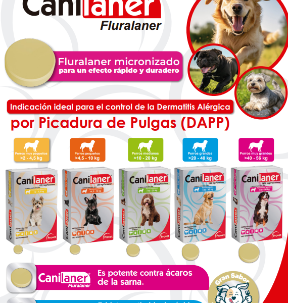 Canilaner 112.5mg Fluralaner Micronizado Tableta Masticable Perros de 2 a 4.5 kg Productos veterinarios Provet | Envios a toda Guatemala