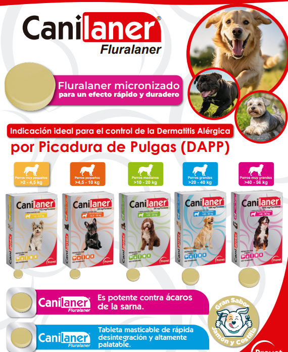 Canilaner 1000 mg Fluralaner Micronizado Tableta Masticable Perros de 20 a 40 kg Productos veterinarios Provet | Envios a toda Guatemala