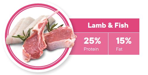 1ST CHOICE   DOG FOOD   ADULT   SKIN AND COAT TOY AND SMALL BOLSA 2 KG. Productos veterinarios 1ST Choice | Envios a toda Guatemala