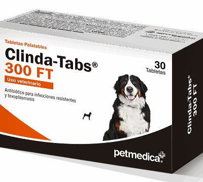 Clinda-Tabs 300 FT | Caja con 30 Tabletas | Antibiotico Clindamicina para Uso Veterinario Productos veterinarios Medicamentos Veterinarios | Envios a toda Guatemala