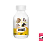 Colivet Antidiarreico Suspension oral 120 ml Productos veterinarios VET | Envios a toda Guatemala