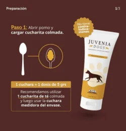 Juvenia Dogs Resveratrol | Suplemento Antioxidante que Mejora la Vitalidad y Longevidad Canina Productos veterinarios Delta Vet Group | Envios a toda Guatemala
