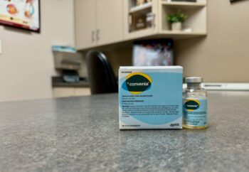 Convenia 10 ml Zoetis | Antibiótico Inyectable de Acción Prolongada para Perros y Gatos Productos veterinarios Zoetis Veterinaria | Envios a toda Guatemala