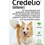 Credelio 450 mg Lotilaner para Perros Medianos a Grandes (11 a 22 kg) | Antiparasitario Oral Productos veterinarios Bayer | Envios a toda Guatemala