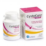 Cystocure Forte 30 Tabletas   Salud del Tracto Urinario para Perros y Gatos Productos veterinarios Candioli | Envios a toda Guatemala