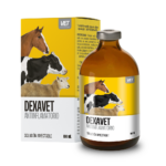 Dexavet Inyectable: Alivio Rápido y Esencial Antiinflamatorio Productos veterinarios VET | Envios a toda Guatemala