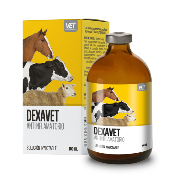 Dexavet Inyectable: Alivio Rápido y Esencial Antiinflamatorio Productos veterinarios VET | Envios a toda Guatemala