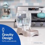 DISPENSADOR AGUA PETMATE CAFE 0.75 GAL Productos veterinarios Accesorios | Envios a toda Guatemala