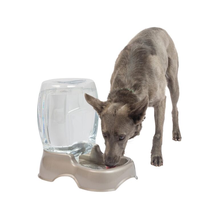 DISPENSADOR AGUA PETMATE CAFE 3 GAL Productos veterinarios Accesorios | Envios a toda Guatemala