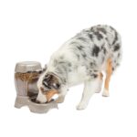 DISPENSADOR COMIDA PETMATE CAFE 6 LB Productos veterinarios Accesorios | Envios a toda Guatemala