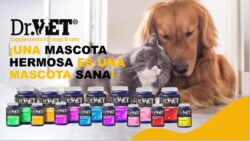 STRESSVET 100 unidades Suplemento para perros y gatos Productos veterinarios Dr VET | Envios a toda Guatemala