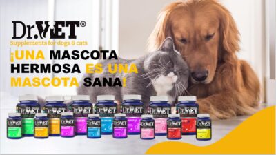 STRESSVET 100 unidades Suplemento para perros y gatos Productos veterinarios Dr VET | Envios a toda Guatemala