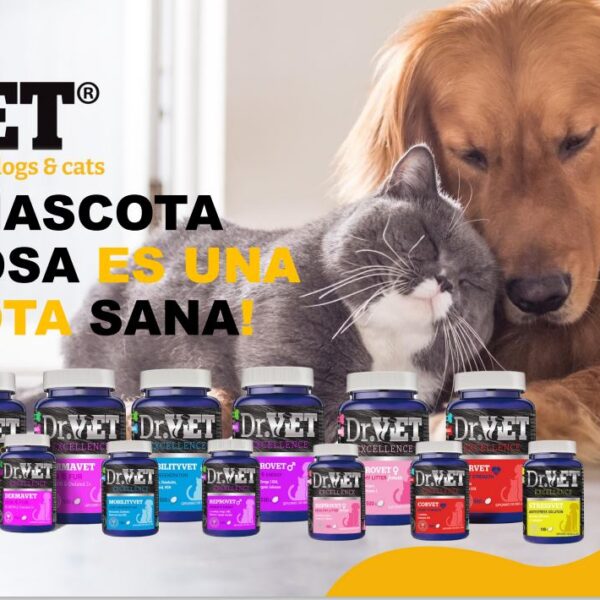 STRESSVET 100 unidades Suplemento para perros y gatos Productos veterinarios Dr VET | Envios a toda Guatemala