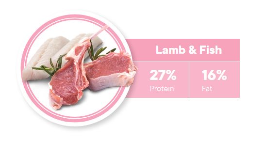 1ST CHOICE PUPPY FOOD SKIN AND COAT ALL BREEDS BOLSA 18 KG Productos veterinarios 1ST Choice | Envios a toda Guatemala