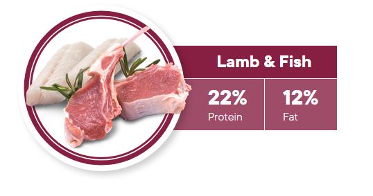 1ST CHOICE DOG FOOD SENIOR AND COAT ALL BREEDS BOLSA 11 KG Productos veterinarios 1ST Choice | Envios a toda Guatemala