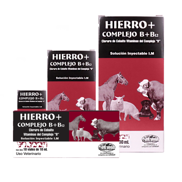 Hierro Complejo B B12 Prevenci?n y tratamiento de estados an?micos 500ml Productos veterinarios Quimvet | Envios a toda Guatemala