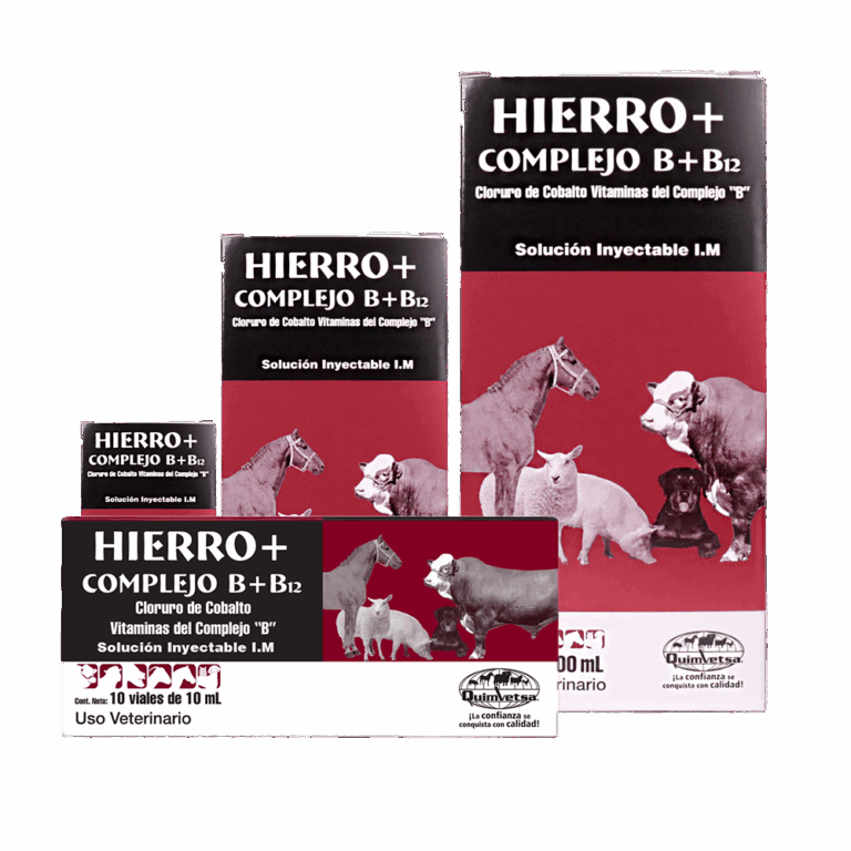 Hierro Complejo B B12 Prevenci?n y tratamiento de estados an?micos 500ml Productos veterinarios Quimvet | Envios a toda Guatemala
