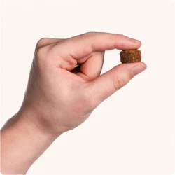 VET IQ Probiotic 60 tabletas Suplemento Multivitaminico para perros Productos veterinarios Vet IQ | Envios a toda Guatemala