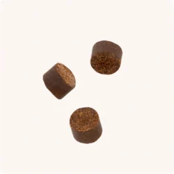 VET IQ Probiotic 60 tabletas Suplemento Multivitaminico para perros Productos veterinarios Vet IQ | Envios a toda Guatemala