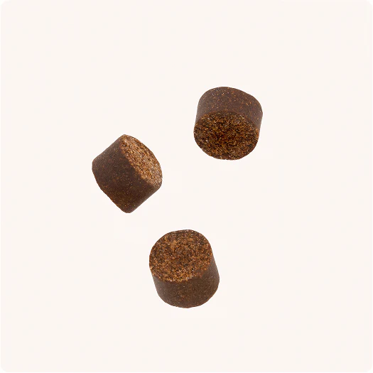 VET IQ Probiotic 60 tabletas Suplemento Multivitaminico para perros Productos veterinarios Vet IQ | Envios a toda Guatemala