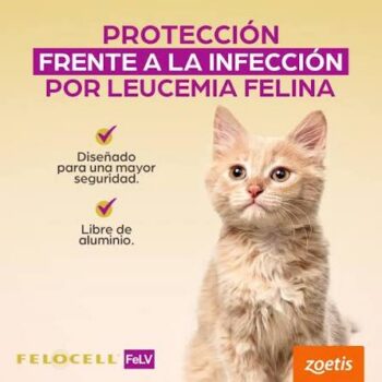 VACUNA FELOCELL FELV (LEUCEMIA) Productos veterinarios Zoetis Veterinaria | Envios a toda Guatemala