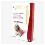 Revolution Rojo para Perros 22–44 lb | Control de Pulgas, Ácaros y Parásitos Internos Productos veterinarios Zoetis Veterinaria | Envios a toda Guatemala