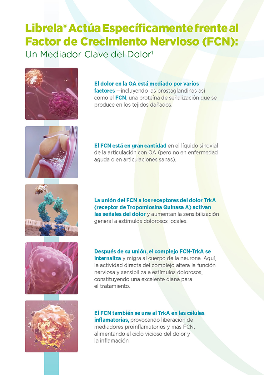 Librela 20 mg – Bedinvetmab – Inyección para el dolor articular en perros – Zoetis – Caja con 2 viales Productos veterinarios Librela | Envios a toda Guatemala