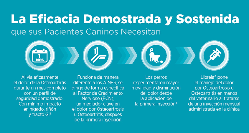 Librela 20 mg – Bedinvetmab – Inyección para el dolor articular en perros – Zoetis – Caja con 2 viales Productos veterinarios Librela | Envios a toda Guatemala