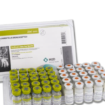 Intra - Trac Oral BB - BORDETELLA BRONCHISEPTICA - Vacuna Productos veterinarios Intervet MSD | Envios a toda Guatemala