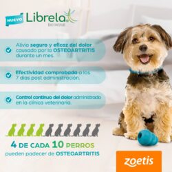 Librela 5 mg – Bedinvetmab – Inyección para el dolor articular en perros – Zoetis – Caja con 2 viales Productos veterinarios Librela | Envios a toda Guatemala