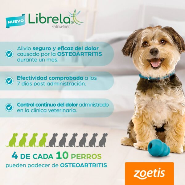 Librela 5 mg – Bedinvetmab – Inyección para el dolor articular en perros – Zoetis – Caja con 2 viales Productos veterinarios Librela | Envios a toda Guatemala