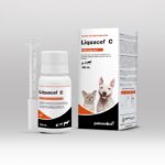 Liquacef-C | Frasco de 100 ml | Antibiotico Inyectable de Ceftriaxona y Dexametasona para Uso Veterinario Productos veterinarios Medicamentos Veterinarios | Envios a toda Guatemala