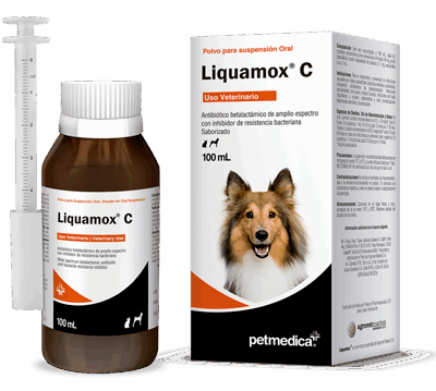 Liquamox-C | Frasco de 100 ml | Antibiotico Inyectable de Amoxicilina y Dexametasona para Uso Veterinario Productos veterinarios Medicamentos Veterinarios | Envios a toda Guatemala
