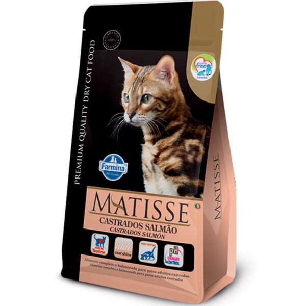 MATISSE CASTRADOS SALMAO 2KG Alimento para gatos Productos veterinarios Alimentos | Envios a toda Guatemala