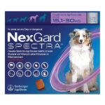 NEXGARD L  Contra pulgas y garrapatas Tableta Masticable Afoxolaner Productos veterinarios Boehringer | Envios a toda Guatemala