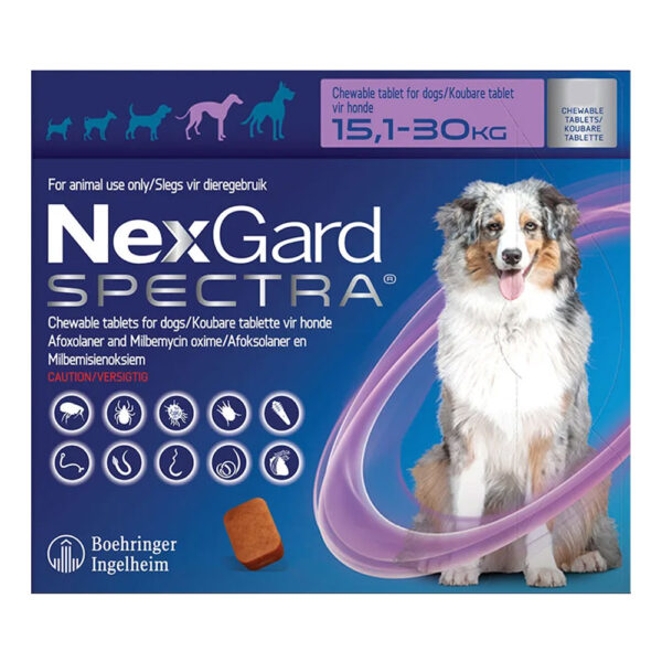 NEXGARD L  Contra pulgas y garrapatas Tableta Masticable Afoxolaner Productos veterinarios Boehringer | Envios a toda Guatemala
