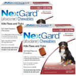 NEXGARD S  Contra pulgas y garrapatas Tableta Masticable Afoxolaner Productos veterinarios Boehringer | Envios a toda Guatemala