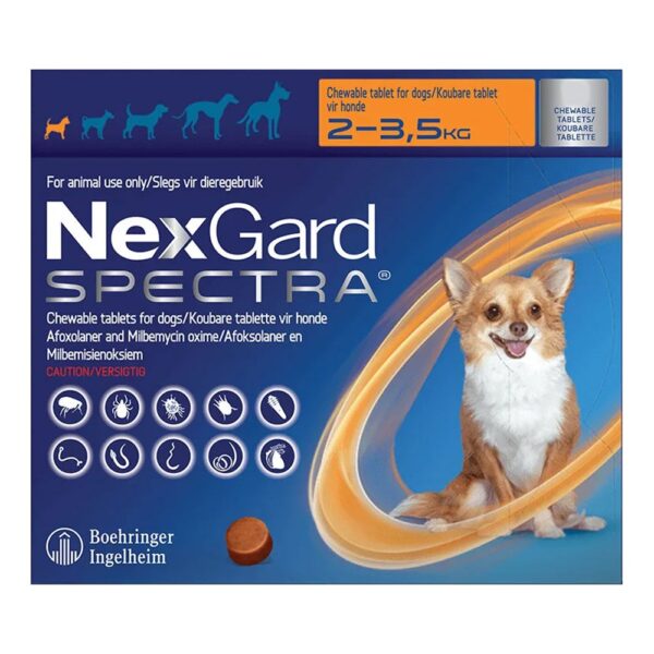 NEXGARD SPECTRA XS  Contra pulgas y garrapatas Tableta Masticable Afoxolaner Productos veterinarios Boehringer | Envios a toda Guatemala