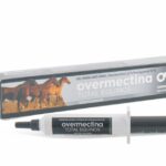 Overmectina Total Equinos 10 gramos Pasta antiparasitaria oral para caballos Productos veterinarios Over | Envios a toda Guatemala