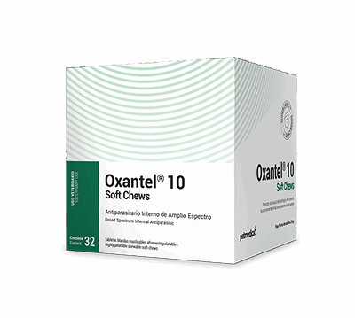 Oxantel 10 Soft Chews Pet Medica – Tabletas masticables x32 con Oxibendazole y Praziquante Productos veterinarios Agrovet Market | Envios a toda Guatemala